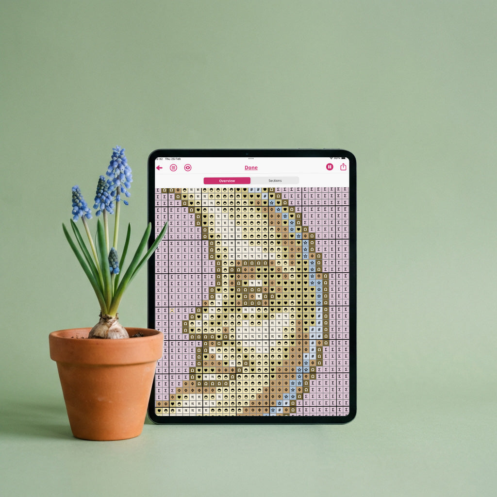 Moon Portrait Needlepoint Pattern