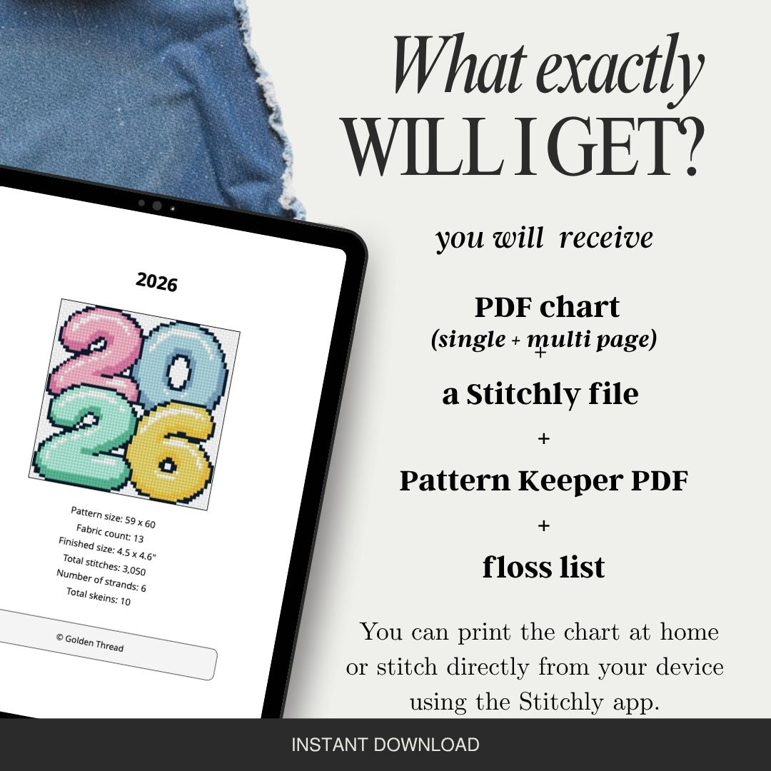 2026 Modern Needlepoint Pattern