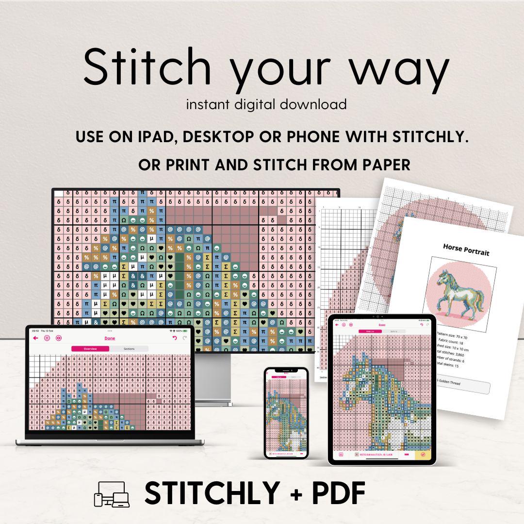 Monkey Portrait Needlepoint Pattern