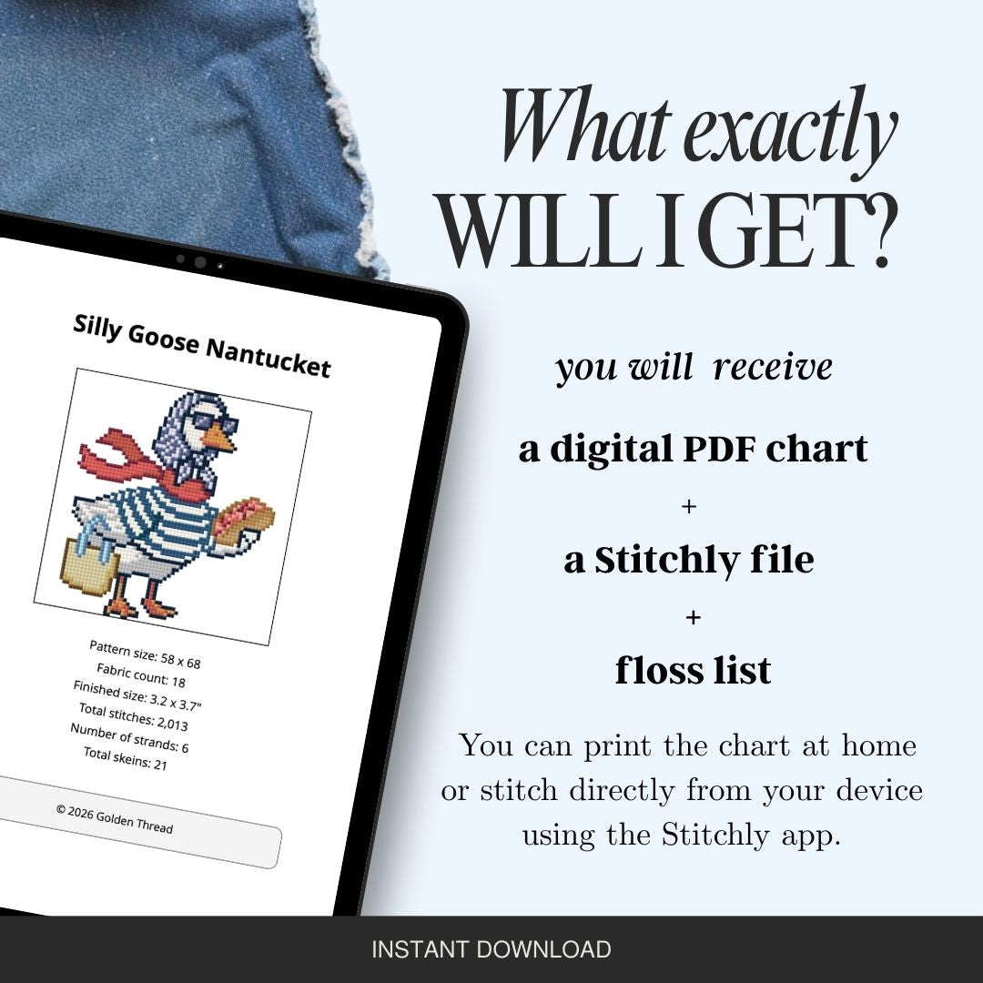 Silly Goose Nantucket Needlepoint Chart