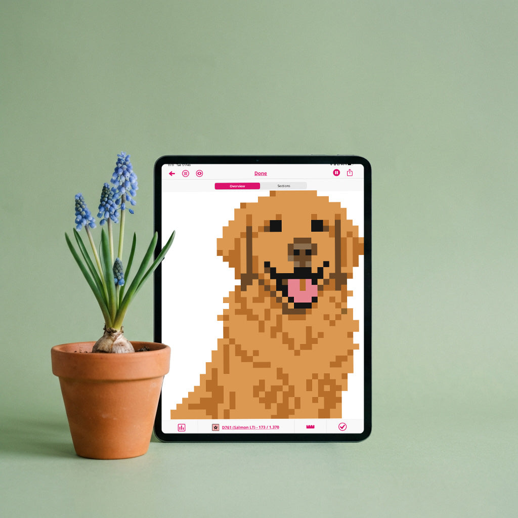 Golden Retriever Needlepoint Pattern