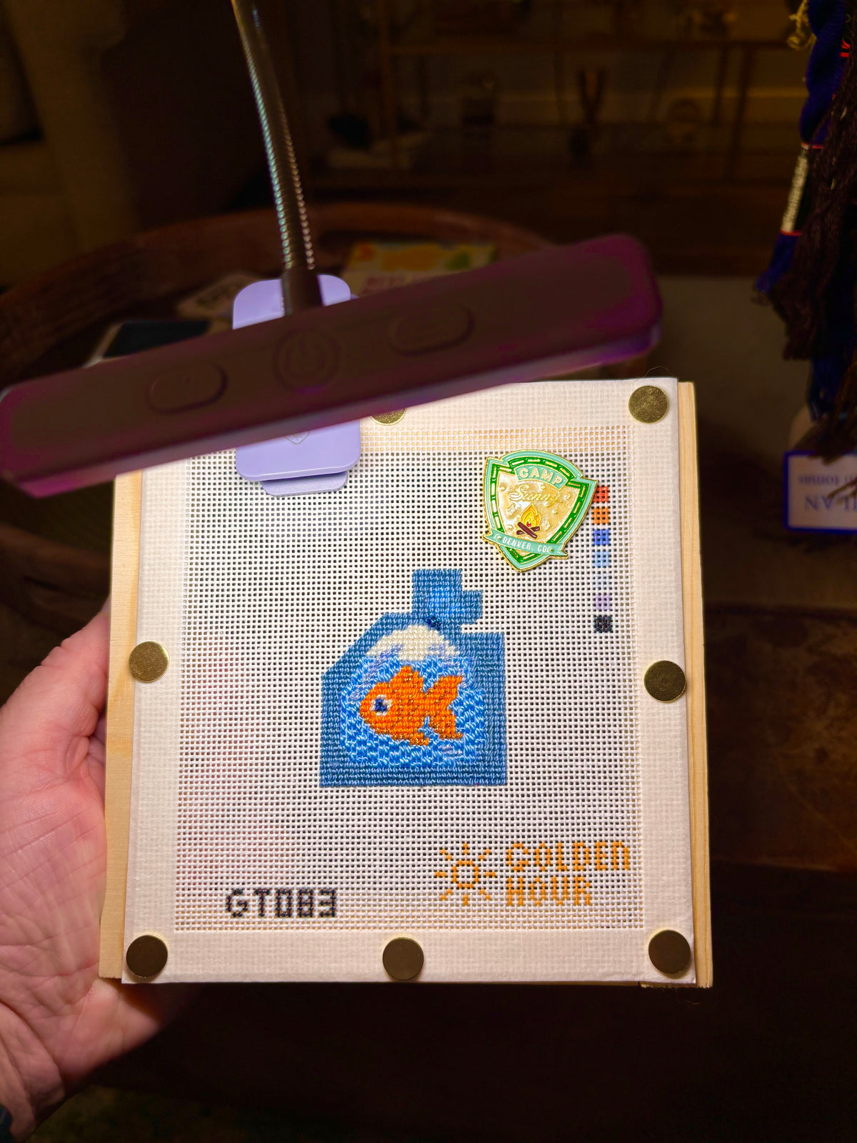 Goldfish in a Bag Canvas