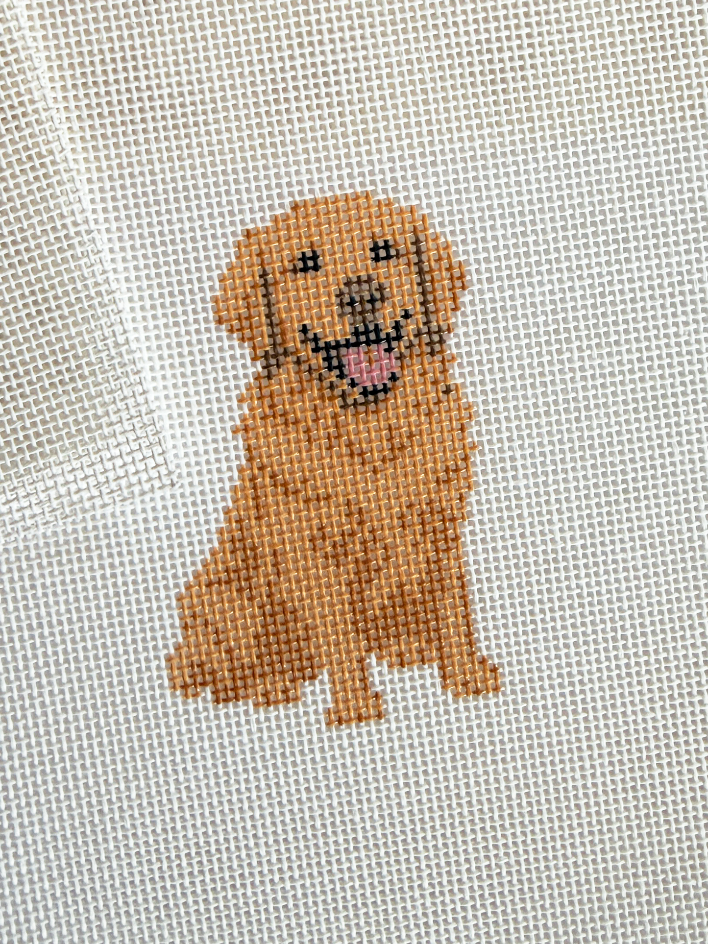 Golden Retriever Canvas