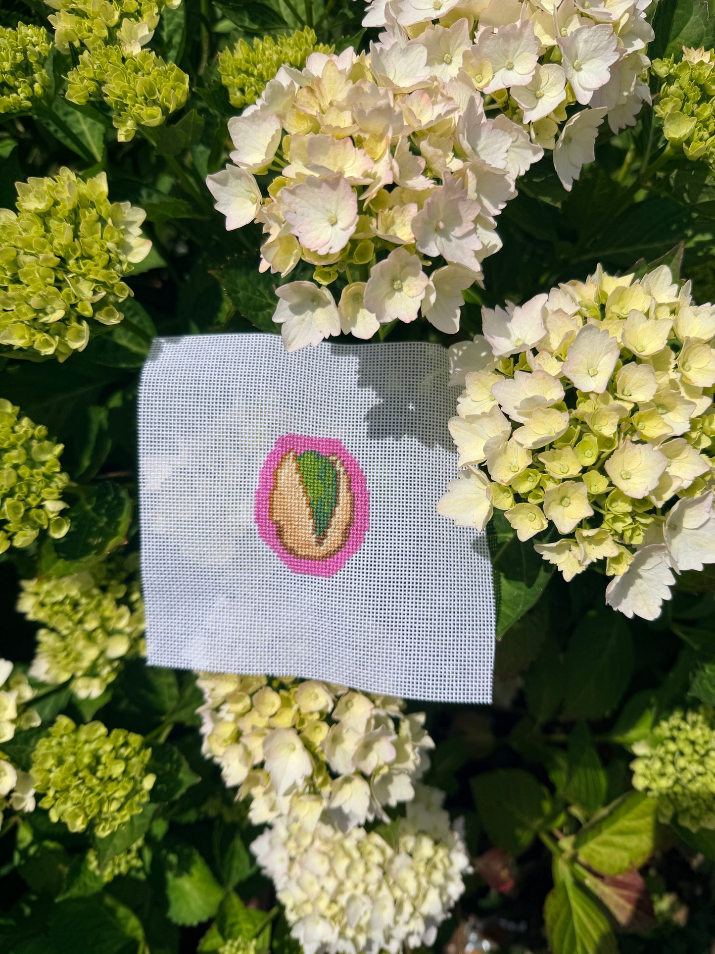 Pistachio