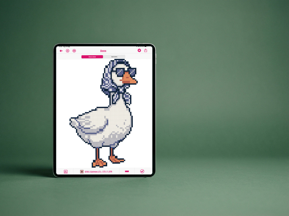 Silly Goose