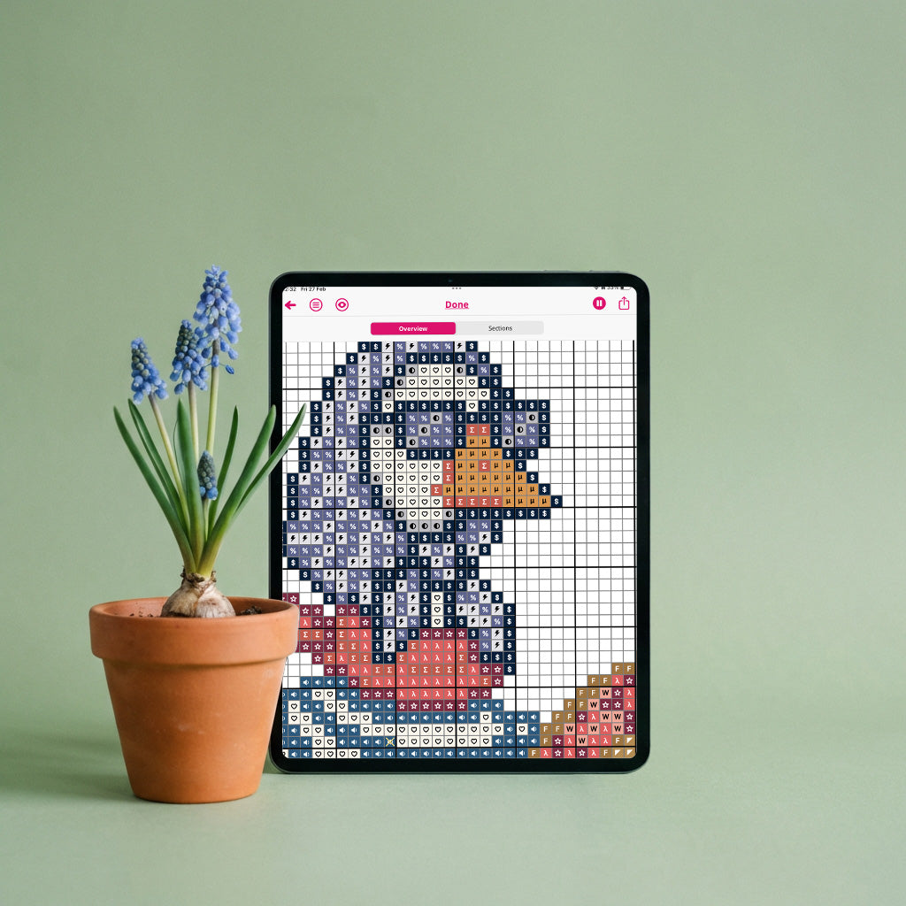 Silly Goose Nantucket Needlepoint Chart