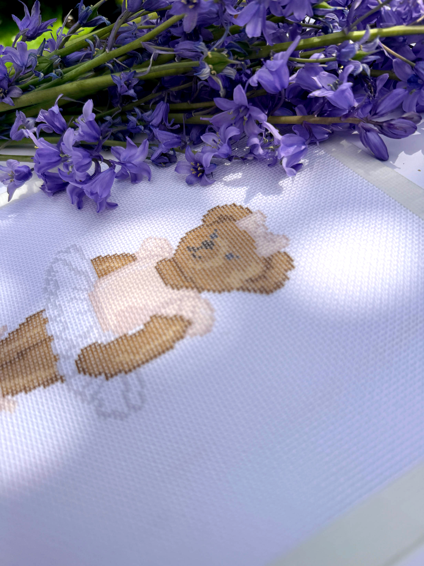 Ballerina Bear Canvas