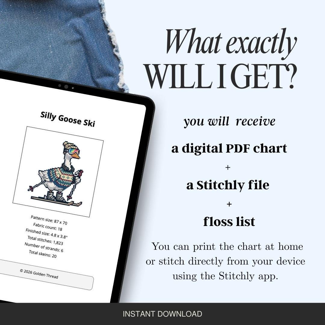 Silly Goose Ski Needlepoint Pattern