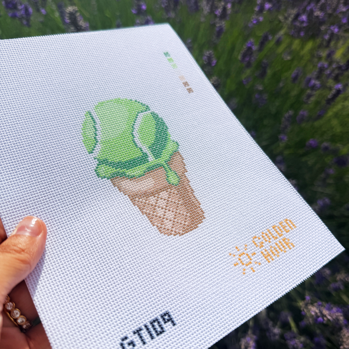 Ice Cream Tennis Ball Canvas