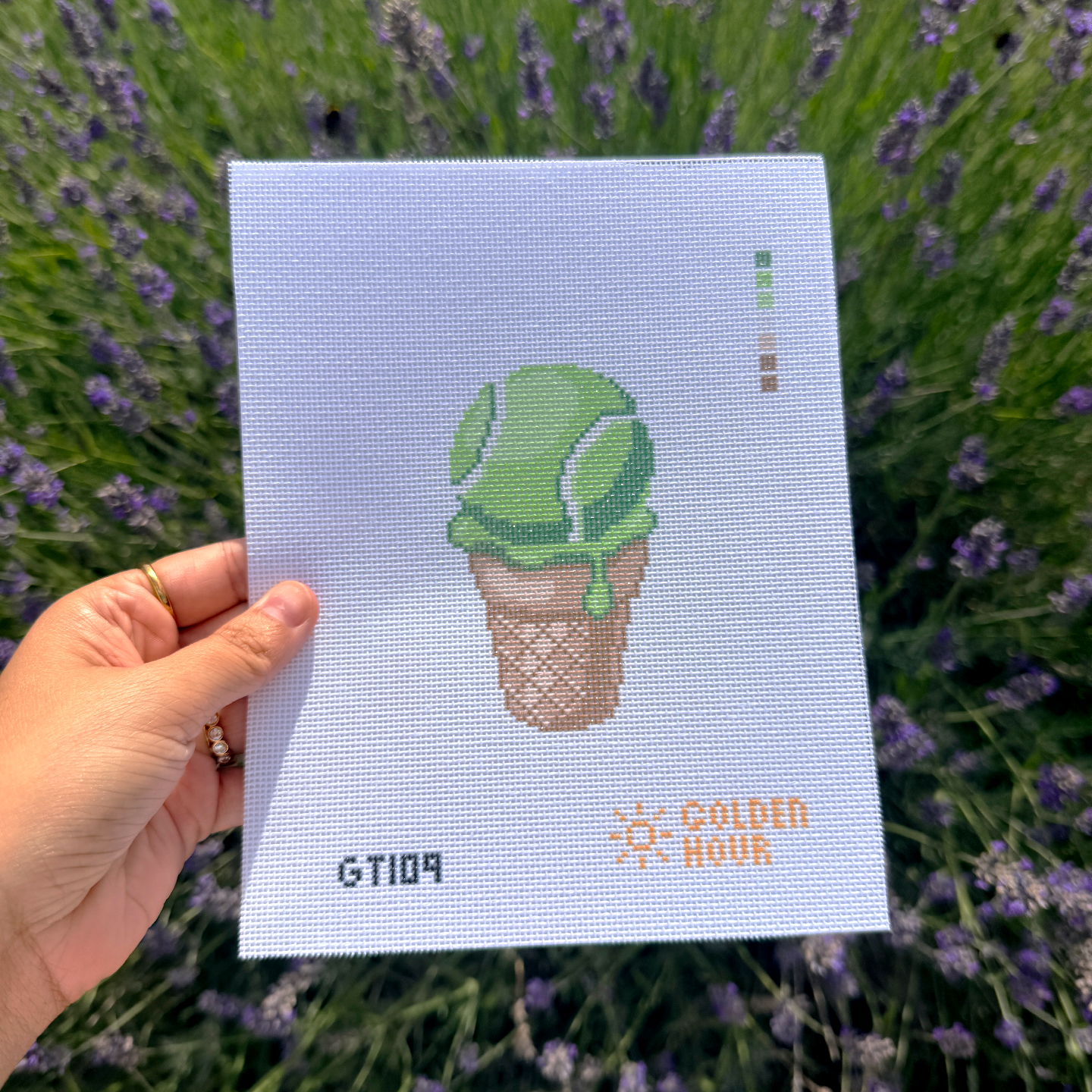 Ice Cream Tennis Ball Canvas